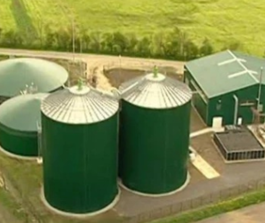 We are people to introduce bio gas engine oil for sago industry